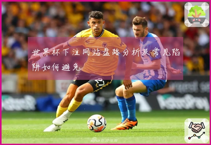 世界杯下注网站盘路分析及常见陷阱如何避免