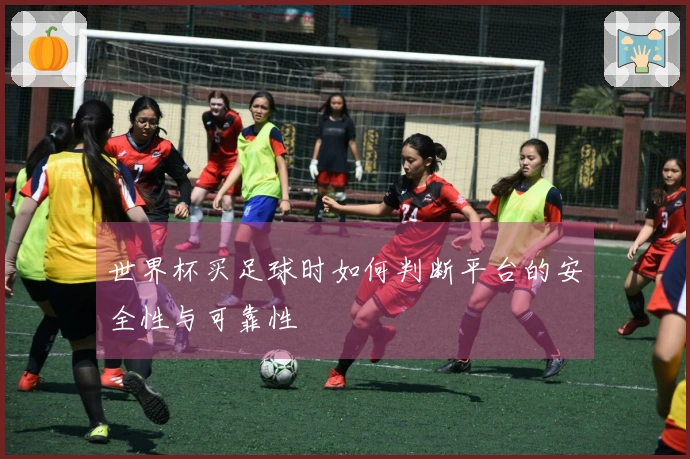 世界杯买足球时如何判断平台的安全性与可靠性