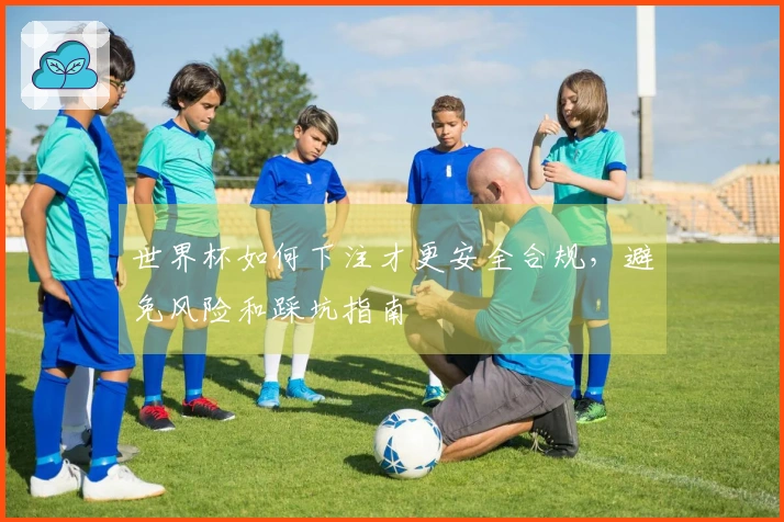世界杯如何下注才更安全合规，避免风险和踩坑指南