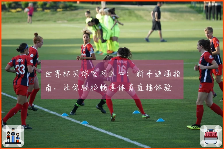 世界杯买球官网入口:新手速通指南,让你轻松畅享体育直播体验