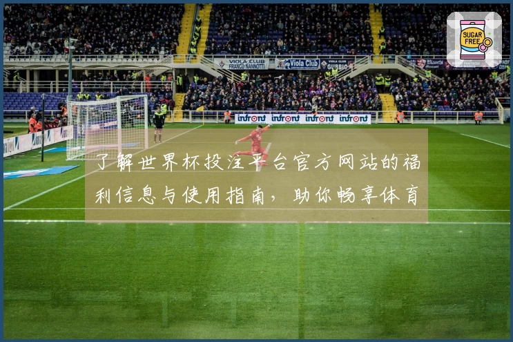 了解世界杯投注平台官方网站的福利信息与使用指南,助你畅享体育盛宴