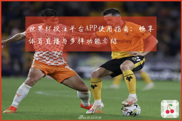 世界杯投注平台APP使用指南:畅享体育直播与多样功能介绍