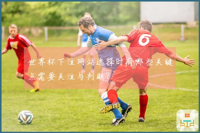 世界杯下注网站选择时有哪些关键点需要关注与判断？