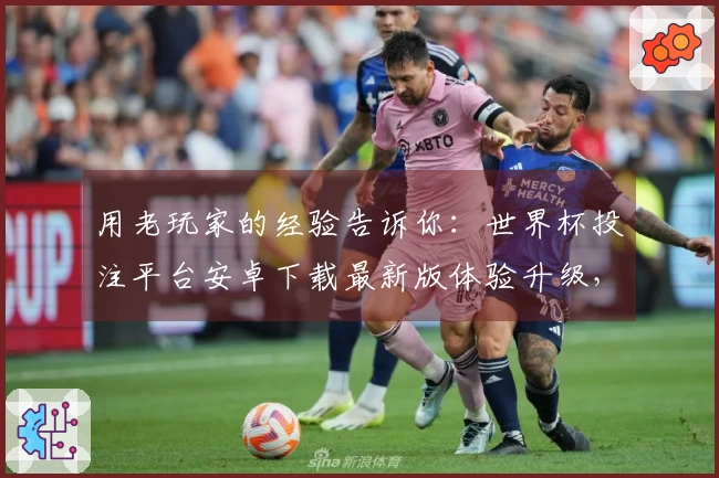 用老玩家的经验告诉你:世界杯投注平台安卓下载最新版体验升级,稳得很!