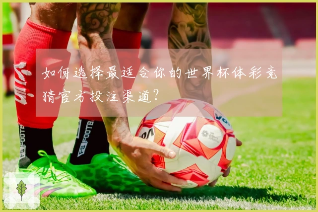 如何选择最适合你的世界杯体彩竞猜官方投注渠道？