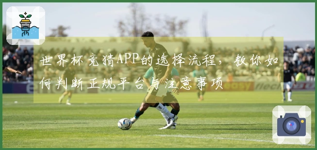 世界杯竞猜APP的选择流程，教你如何判断正规平台与注意事项