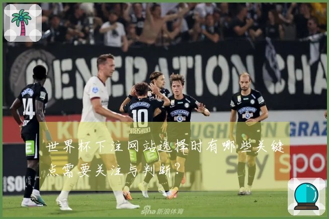 世界杯下注网站选择时有哪些关键点需要关注与判断？