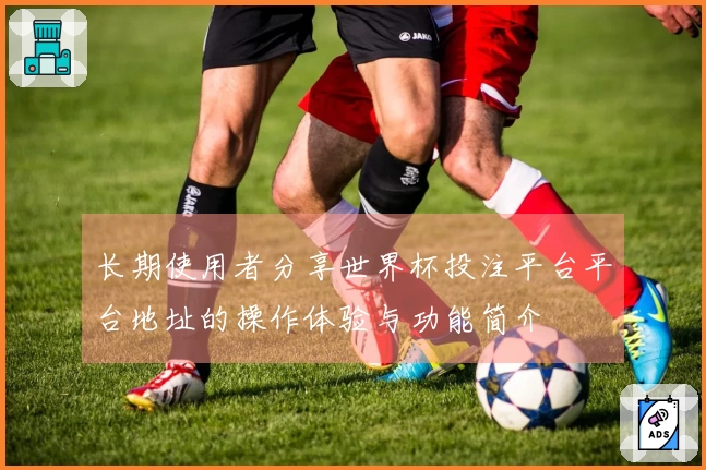 长期使用者分享世界杯投注平台平台地址的操作体验与功能简介