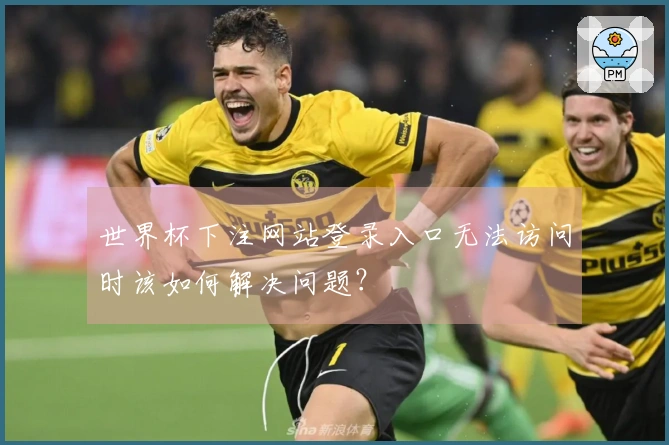 世界杯下注网站登录入口无法访问时该如何解决问题？