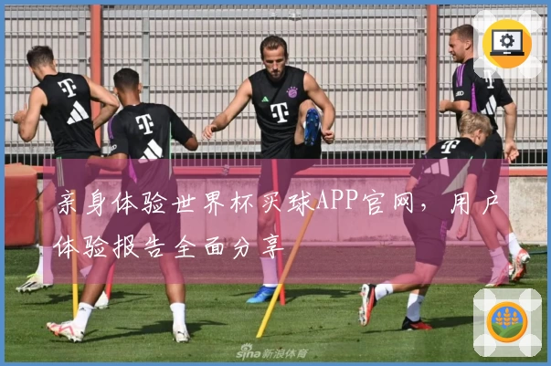 亲身体验世界杯买球APP官网，用户体验报告全面分享