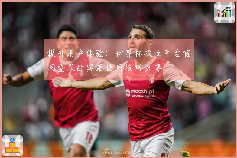 提升用户体验：世界杯投注平台官网登录的实用使用技巧分享